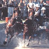 Mike and Jerry McLennan, Brenham, Texas - USA Combined Driving Team - 2003 Paris, Champions