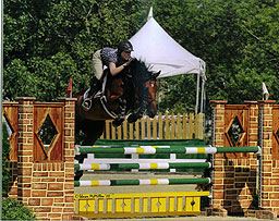 Heidi Hottinger and her horse Ferracci (Q-Man) taken during competition at the Kentucky Horse Park summer 2010.