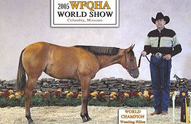 Redeemalena AKA Star 2005 ABRA World Show Top 5 Weanling Filly 2005 WFQHA World Champion Weanling Filly 2005 WFQHA Weanl